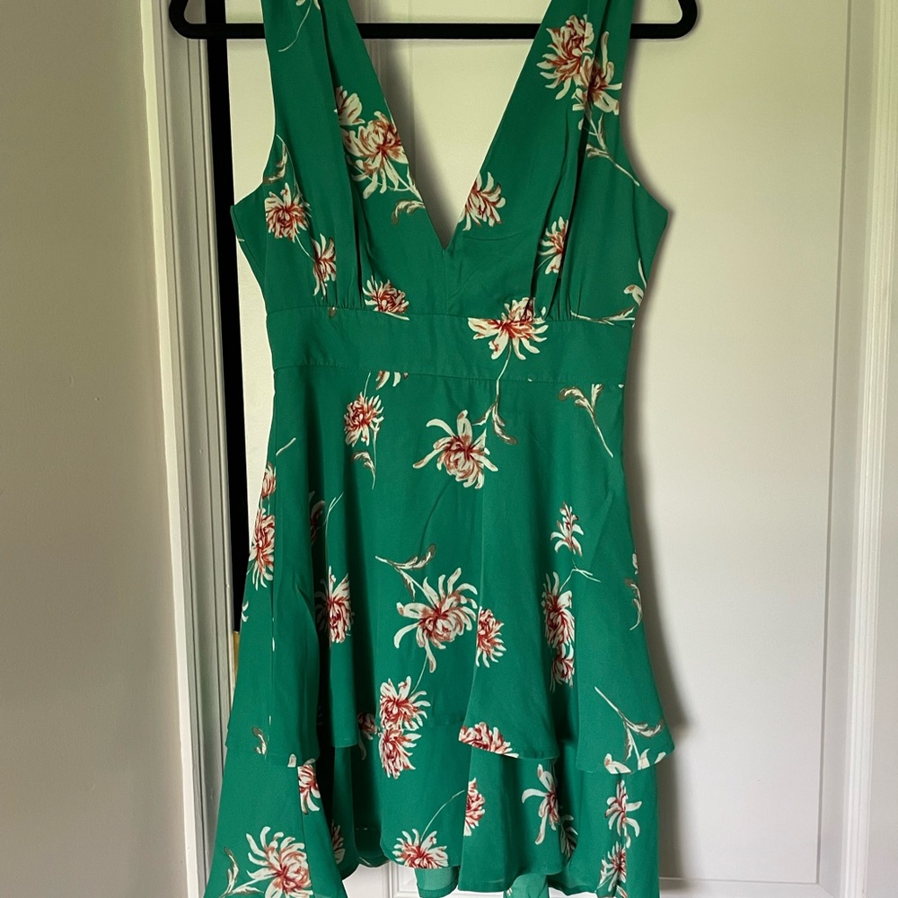 BB Dakota cocktail dress